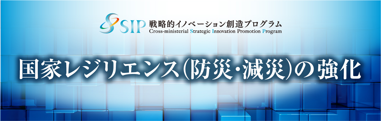 国家レジリエンス（防災・減災）の強化